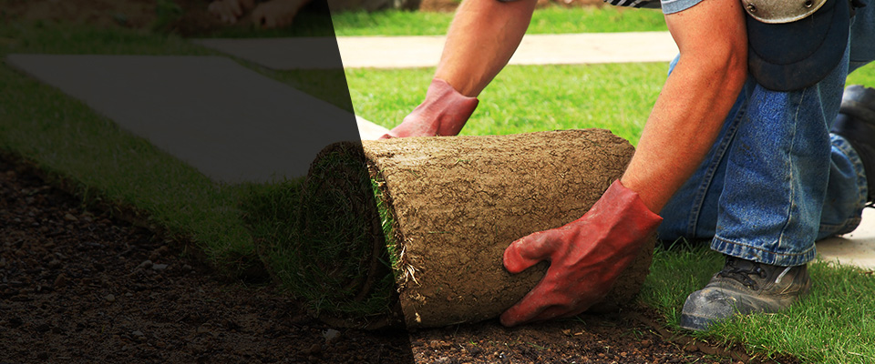 Trabuco Canyon Landscapers